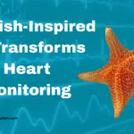 Starfish-Inspired AI Transforms Heart Monitoring